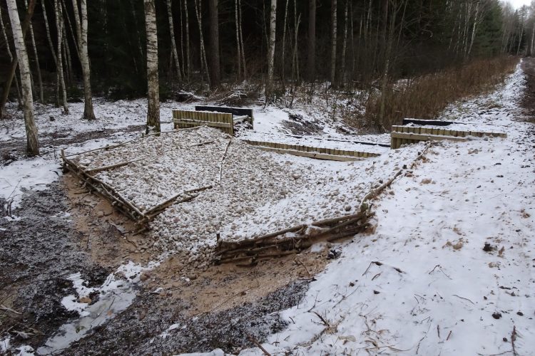 BAIGTI PAŠILIŲ PELKĖS ATKŪRIMO DARBAI