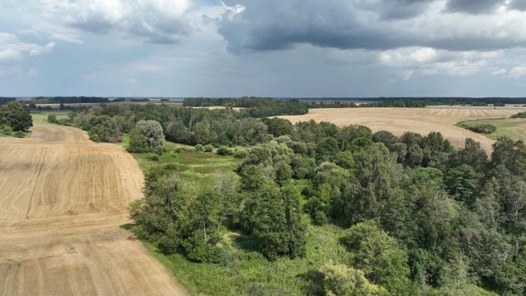 Upytės geomorfologinis draustinis
