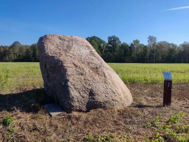 Sutvarkyta valstybės saugomų riedulių aplinka