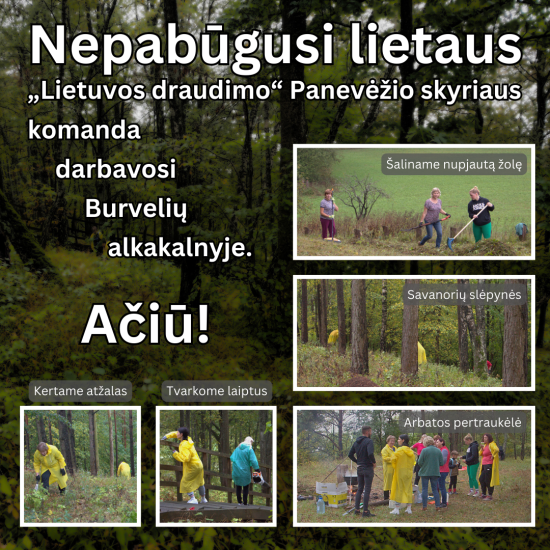 Talka Burvelių alkakalnyje