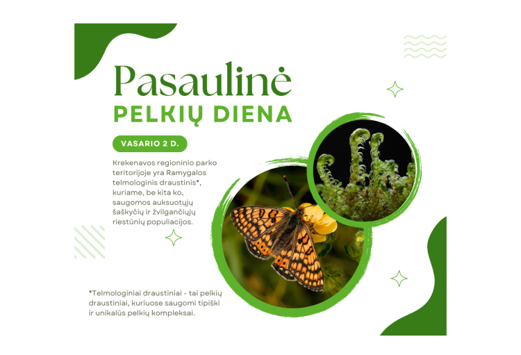 Pasaulinė pelkių diena
