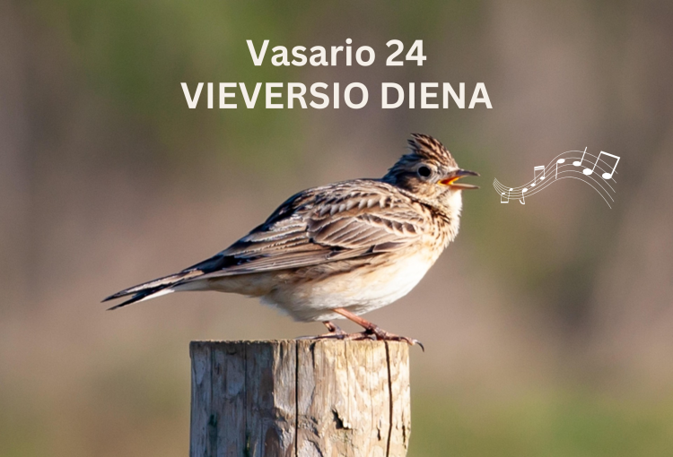 Vieversio diena