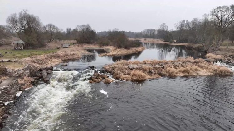 Nevėžio šniokštimas prie Slabados užtvankos