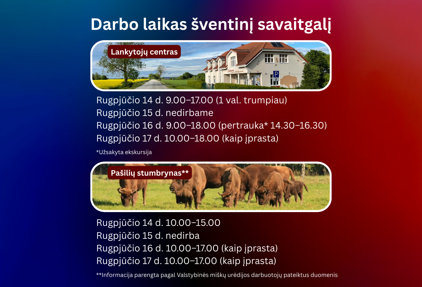 Darbo laikas šventinį savaitgalį