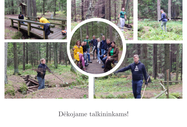 Talka partizanų žeminių teritorijoje