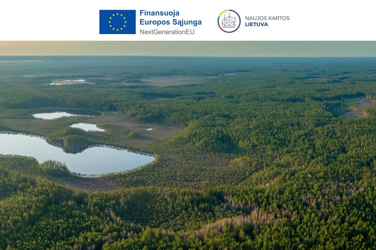 Miškų išpirkimo projektas