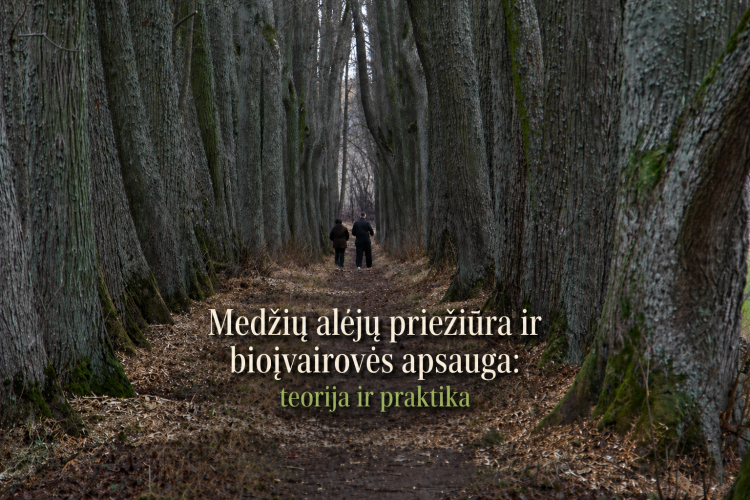 2026-05-22 Mokymai tema „Medžių alėjų priežiūra ir bioįvairovės apsauga: teorija ir praktika“