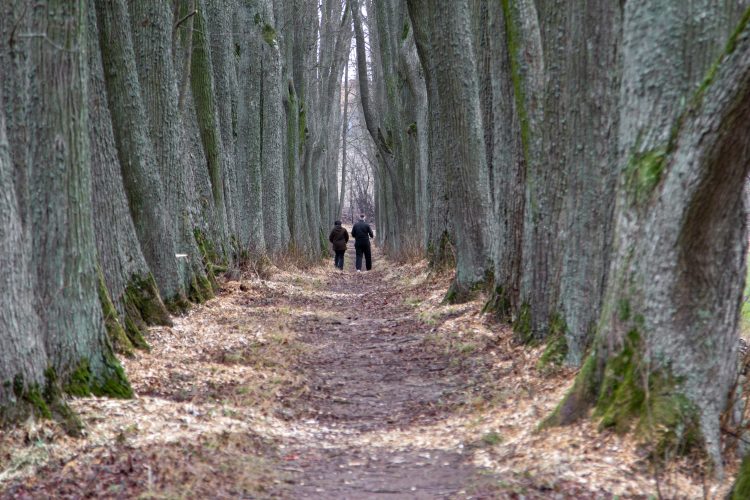 Balandžio ir gegužės mėnesiais kviečiame tapti Šiaurės Lietuvos alėjų detektyvais!