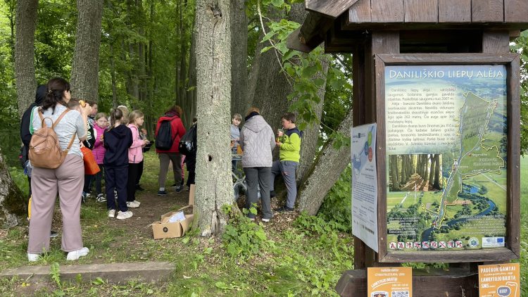 Kviečiame į nemokamą edukaciją „Pažinkime medžių alėjas“