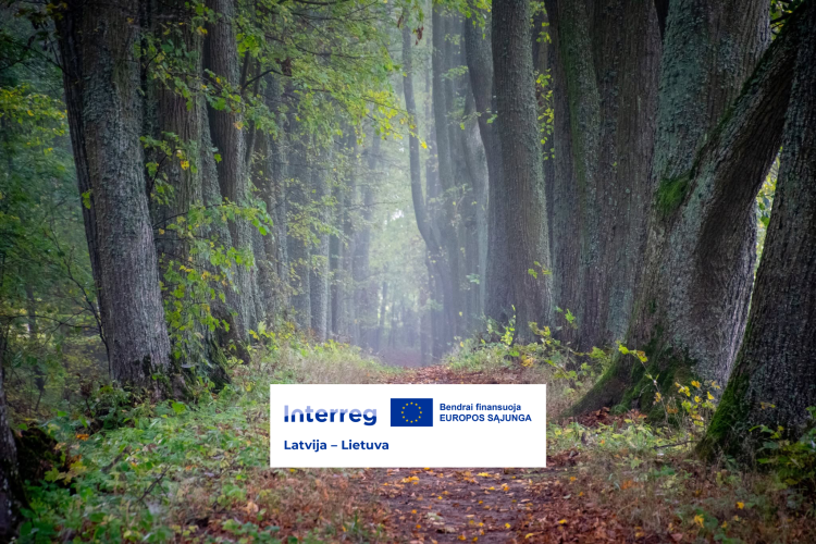 2026-09-11 | Paskaita visuomenei „Medžiai ir medžių alėjos bei jų svarba biologinei įvairovei ir klimatui“