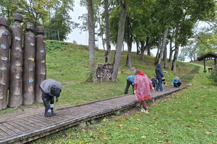 Savanorių talka