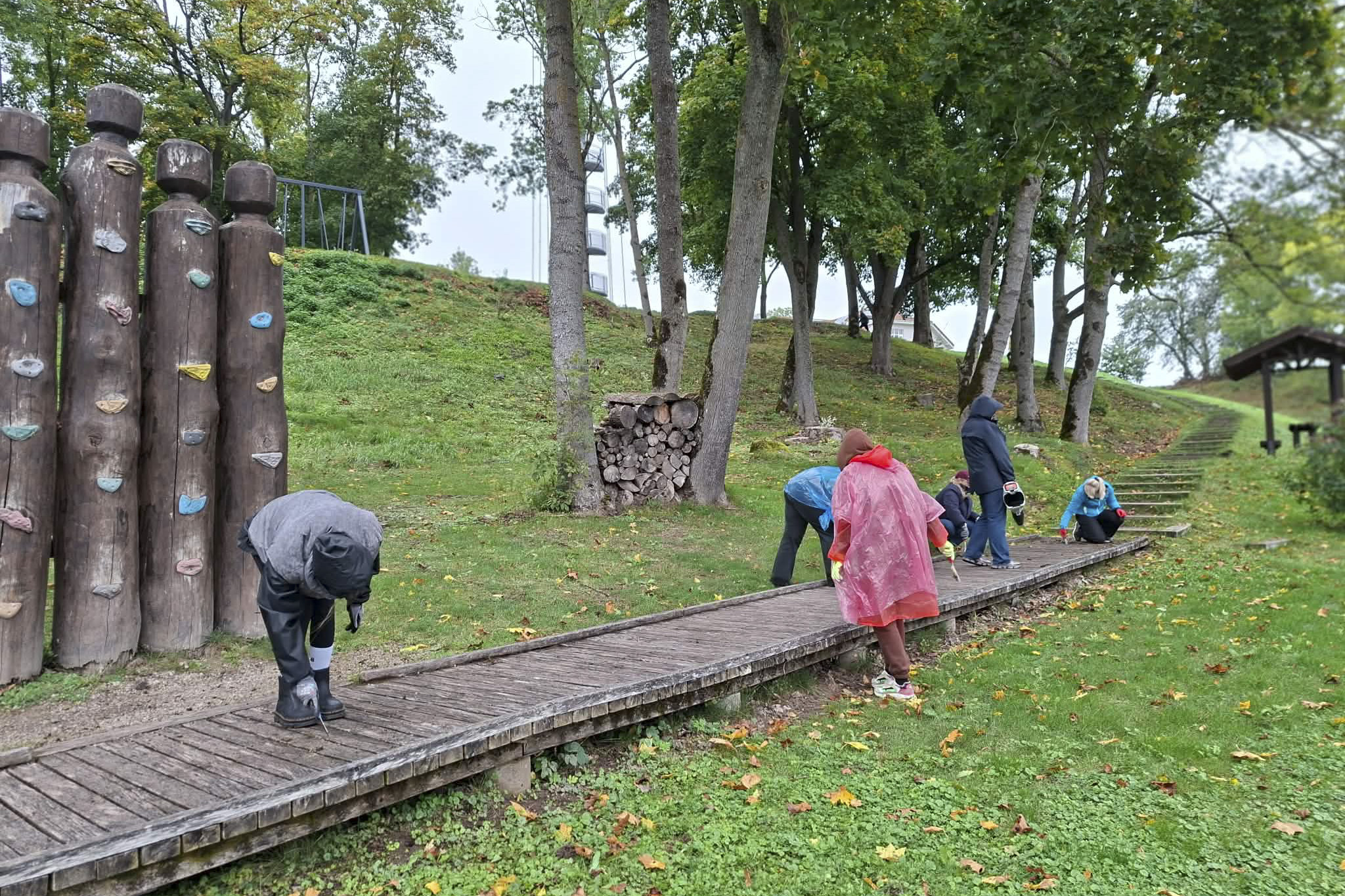 Savanorių talka